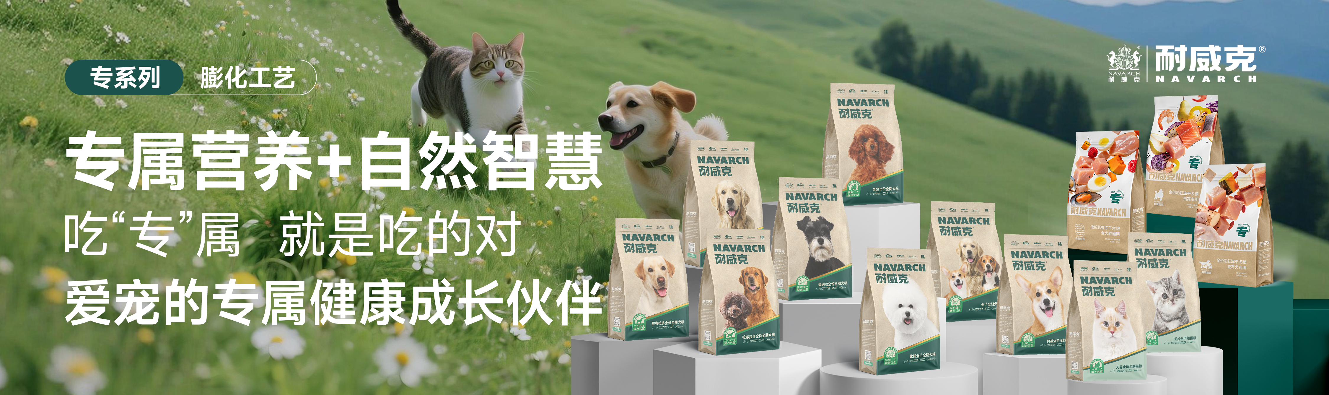 首頁Banner3